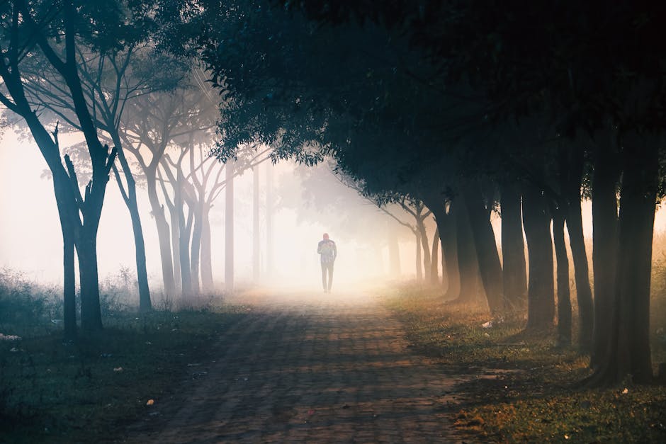 Person walking down a peaceful tree-lined path